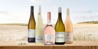 5+1 SUMMER WINES