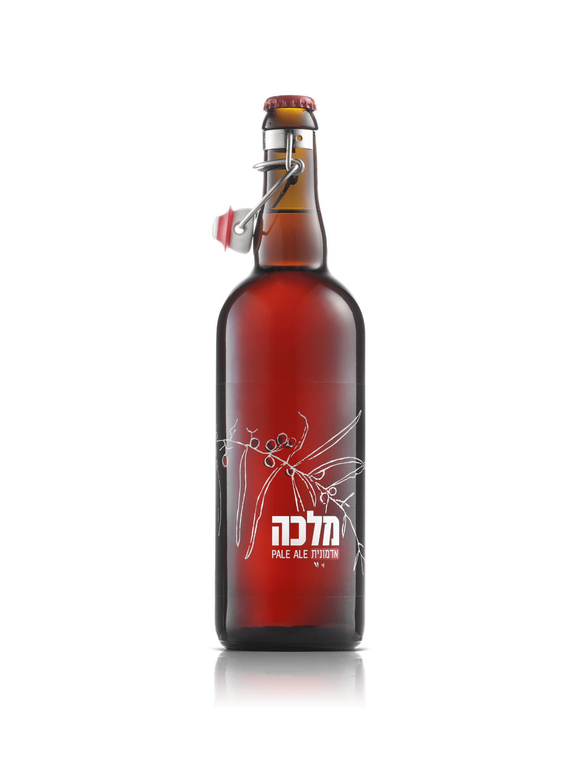 בירה לף בראון - שישייה | אליאסי משקאות